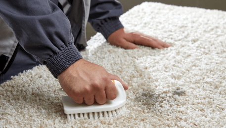 Professional Rug Cleaning Footscray